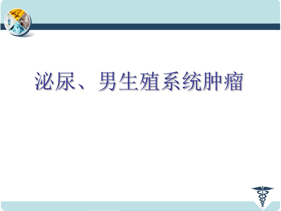 泌尿男生殖系统肿瘤课件_第1页