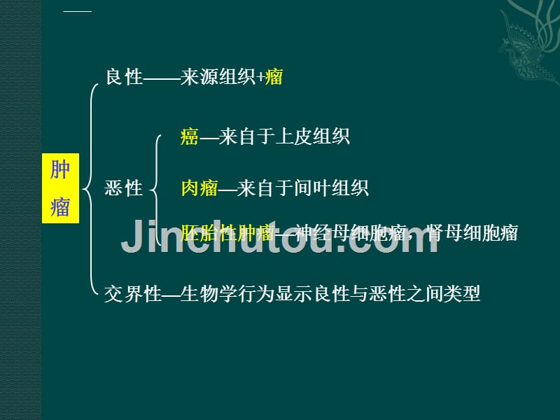 肿瘤课件完整版课件_第5页