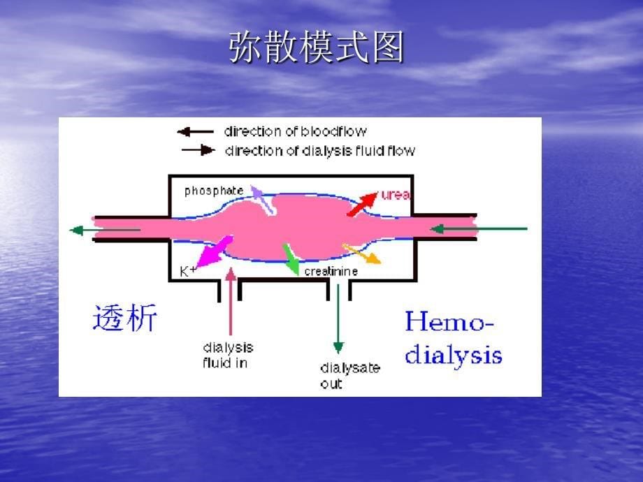 医学课件连续性血液净化_第5页