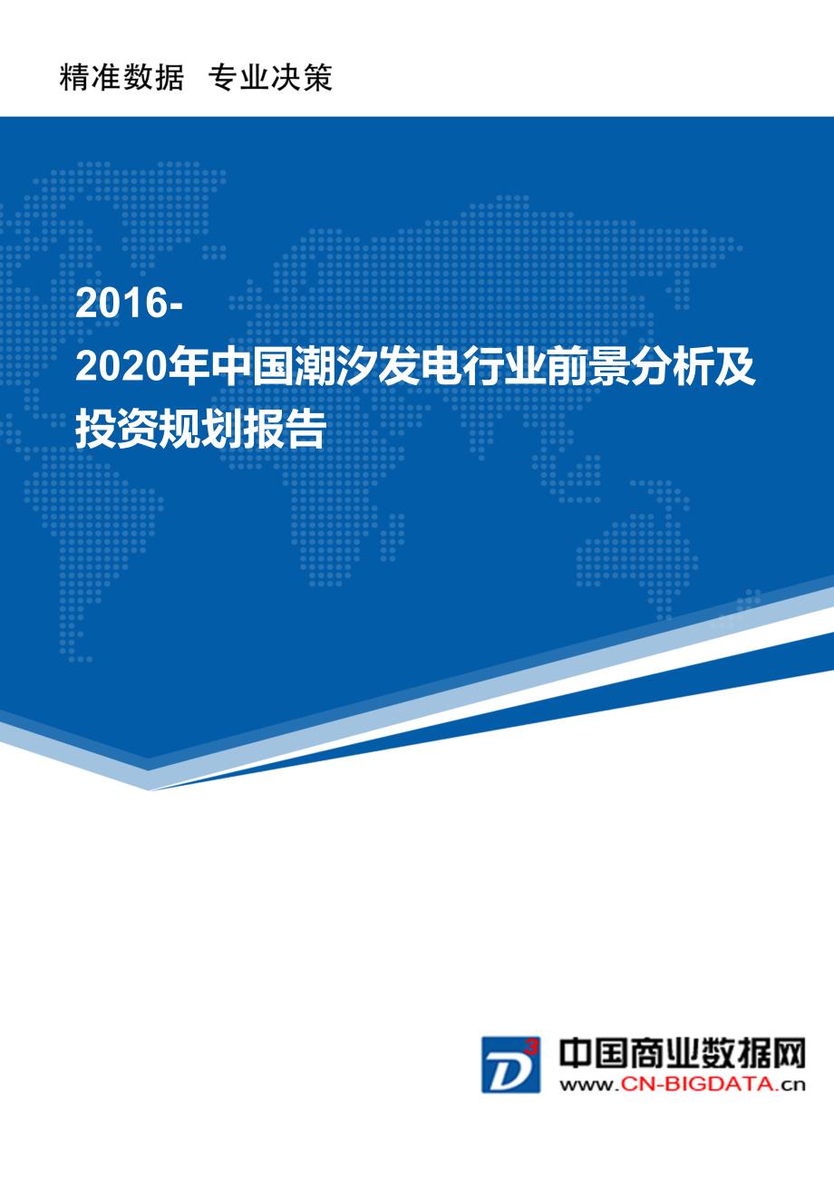 2016-2020年中国潮汐发电行业前景分析及投资规划报告_第1页