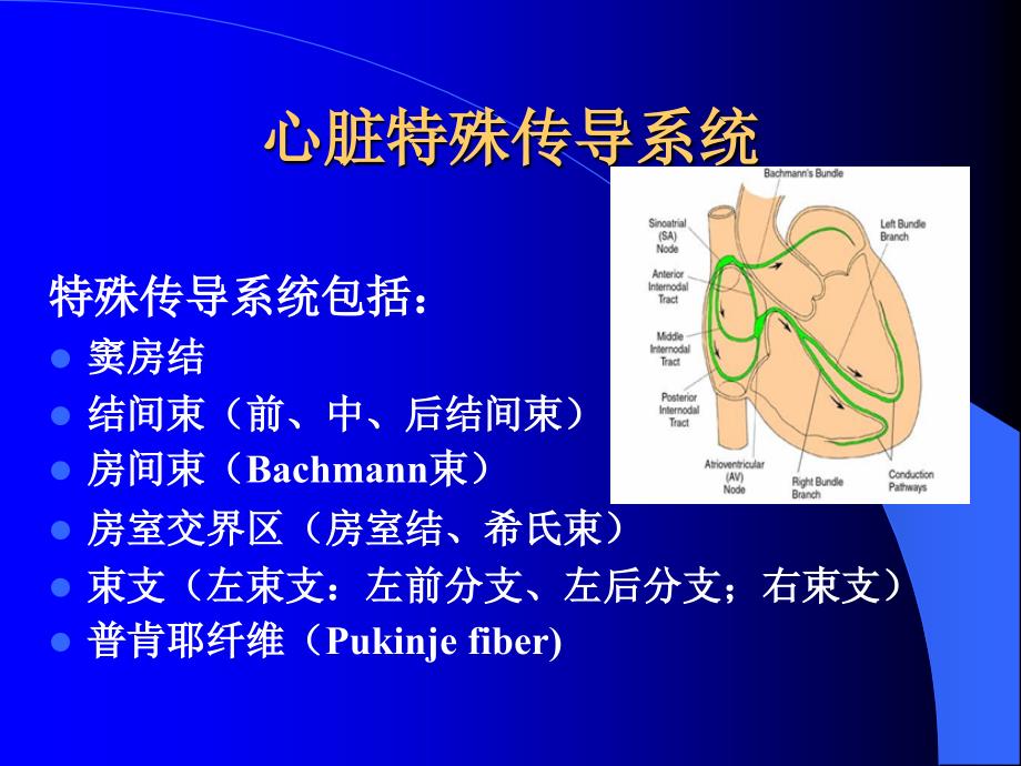 房室传导阻滞（精编）_第4页