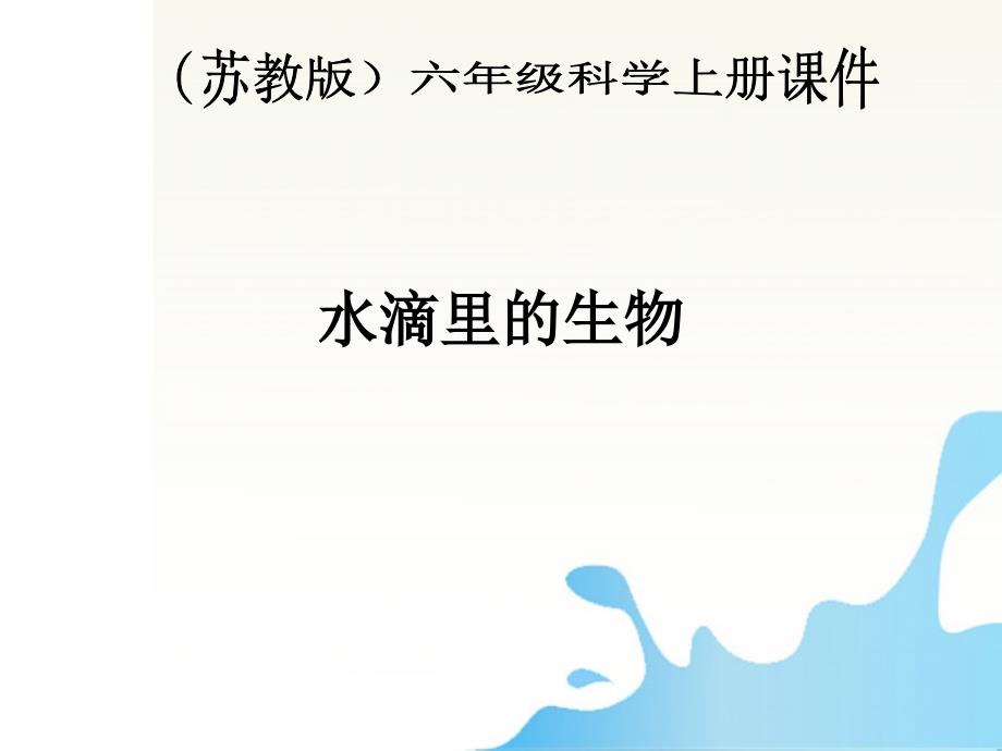 六年级科学上册第一单元1-水滴里的生物课件2-苏教版_第1页