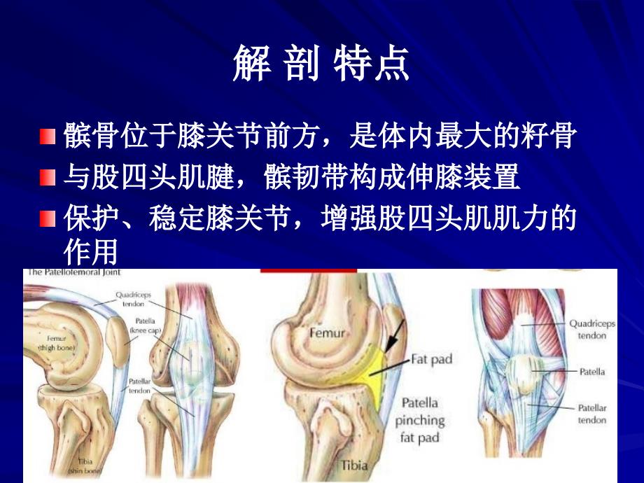 骨伤科护理学之下肢骨折概述_第3页