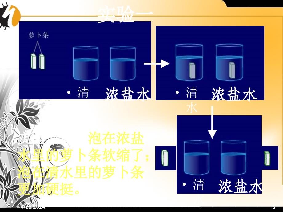 吸收作用_第3页