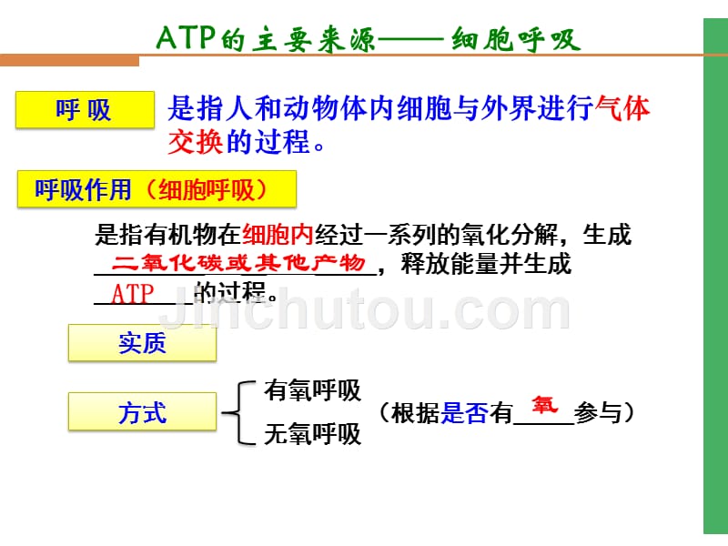 5-3细胞呼吸_第3页