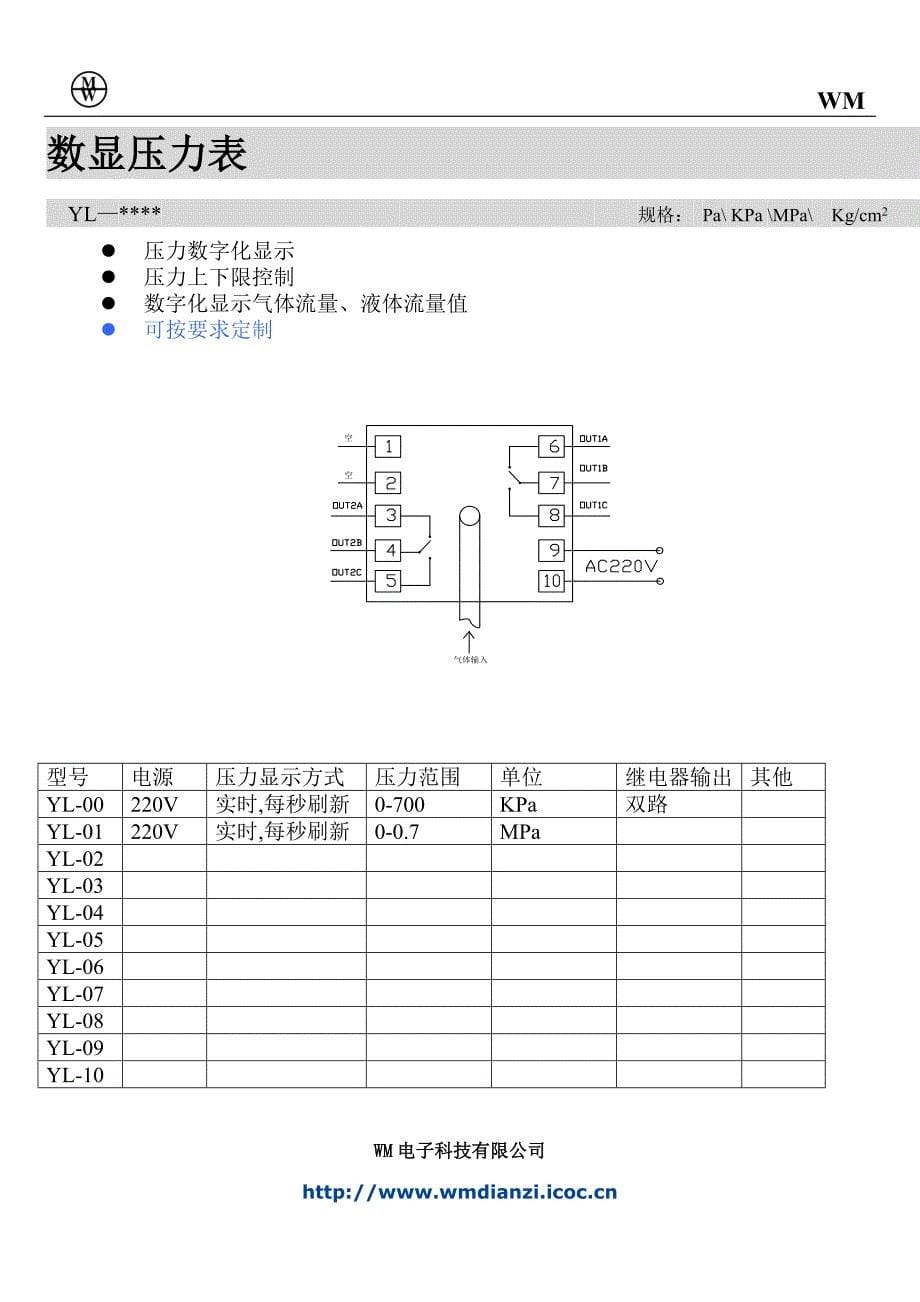 WM电子科技有限公司智能控制仪表选型手册_第5页