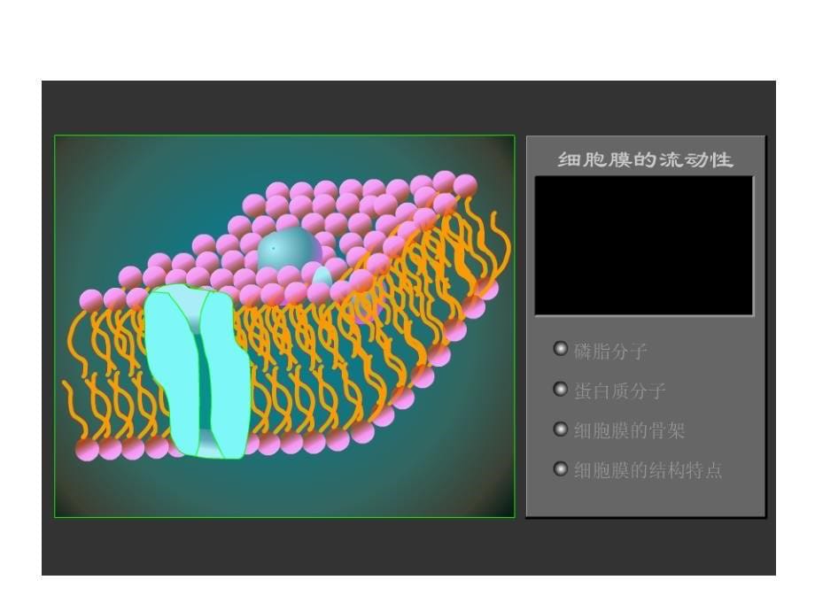 高一生物糖类和脂质_第5页