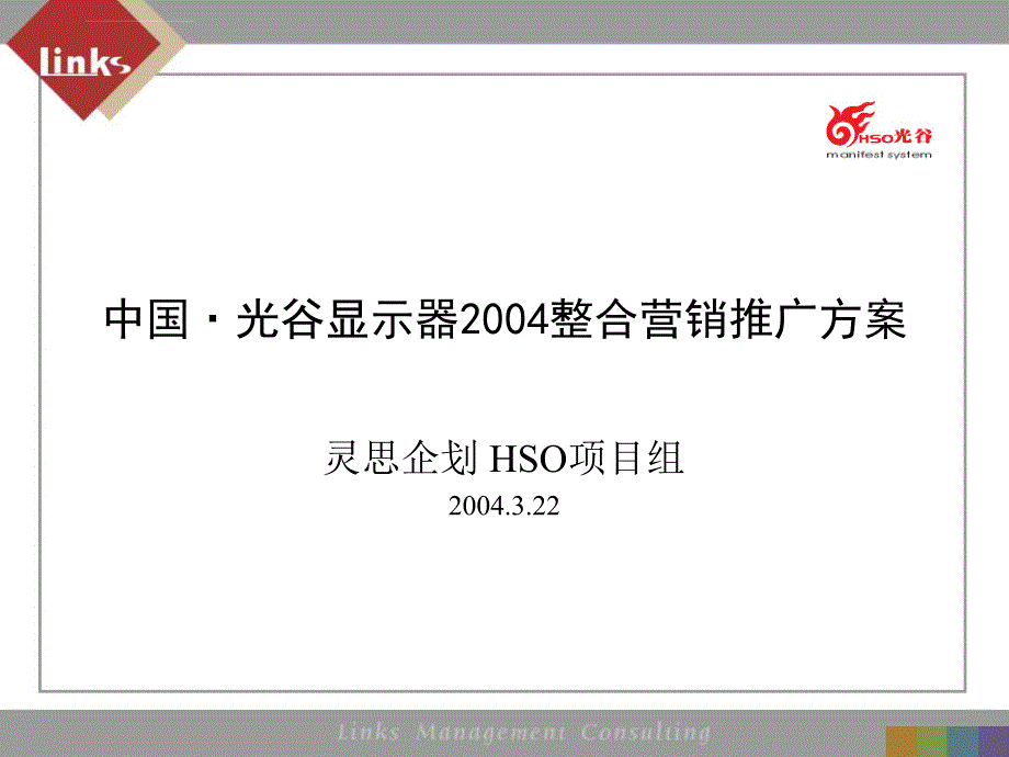 灵思传播机构中国光谷显示器2004整合营销推广方案_第1页
