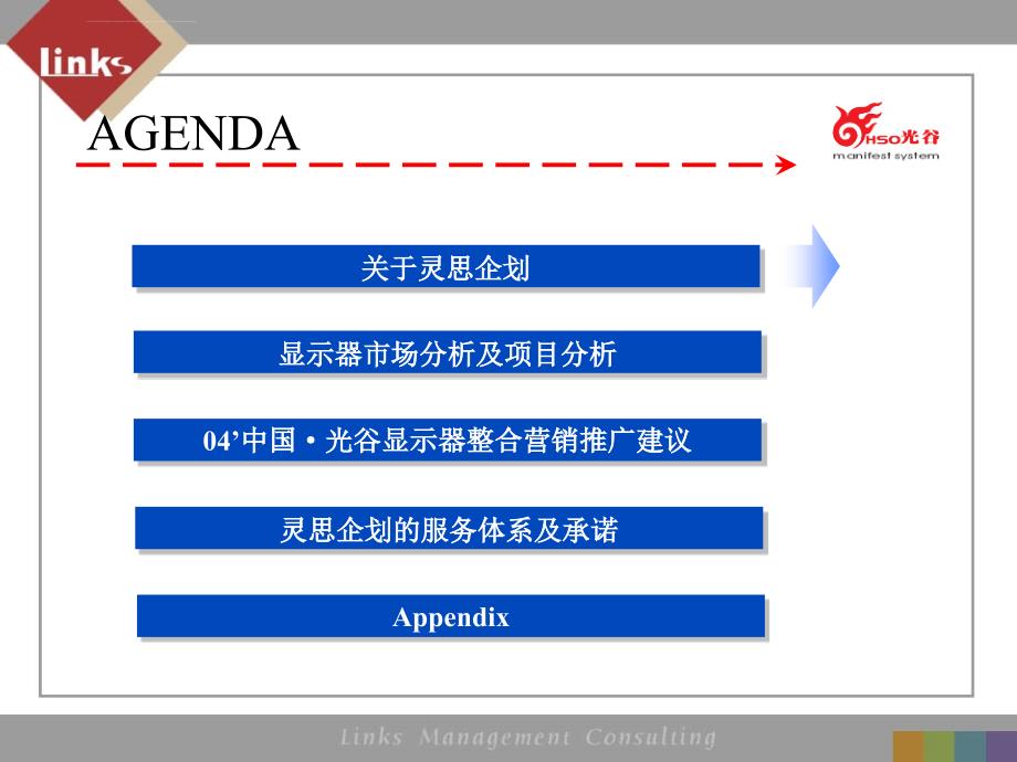 灵思传播机构中国光谷显示器2004整合营销推广方案_第2页