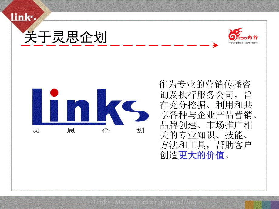 灵思传播机构中国光谷显示器2004整合营销推广方案_第3页