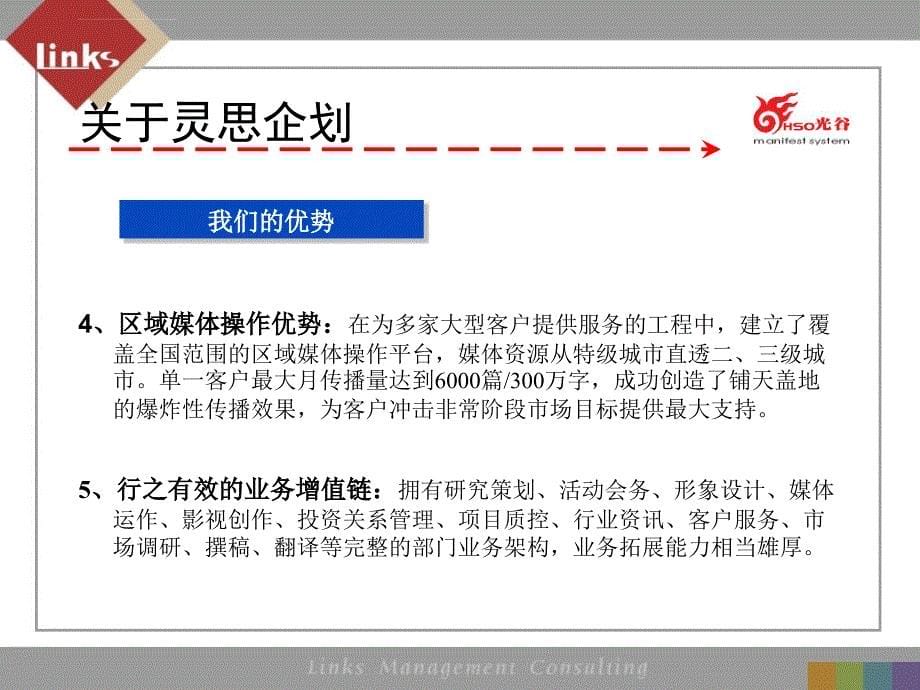 灵思传播机构中国光谷显示器2004整合营销推广方案_第5页