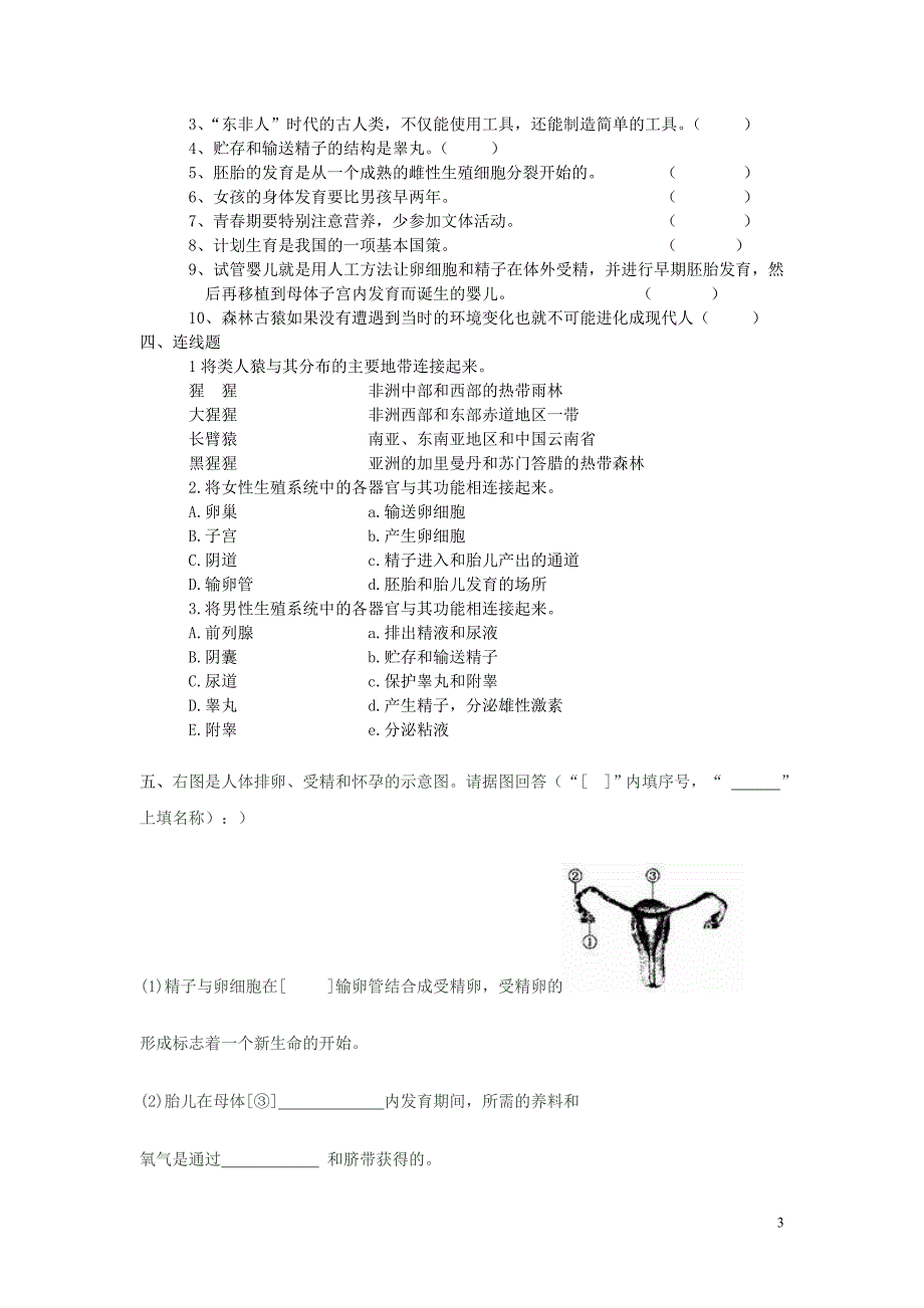 七生物寒假作业_第3页