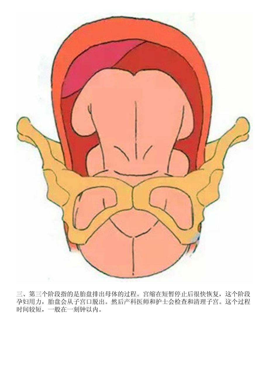 顺产的三个阶段详细记录给还在孕的各位姐妹_第3页