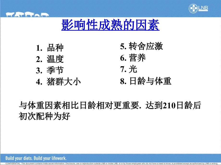 母猪七阶段饲养管理程序_第4页