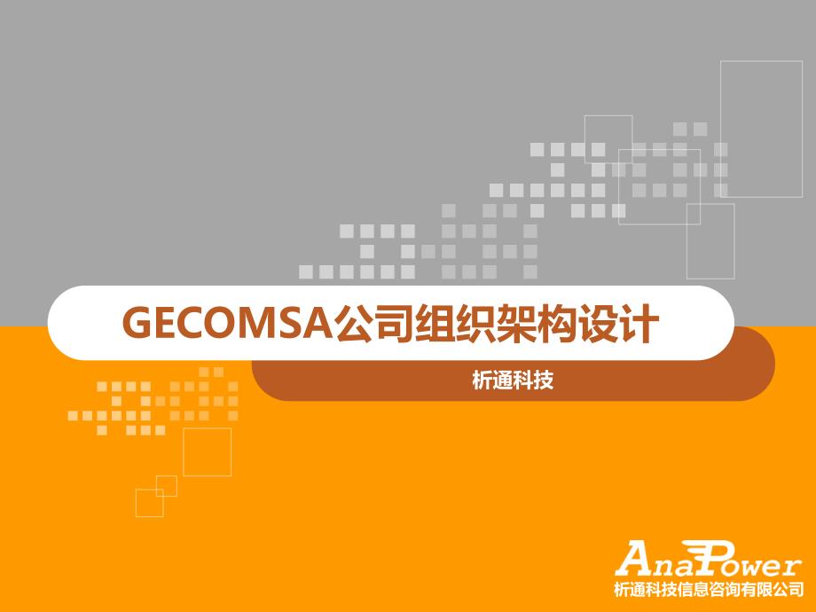 2011gecomsa公司组织架构设计课件_第1页