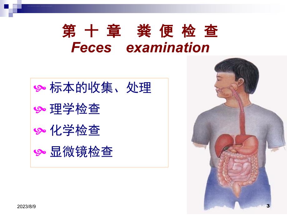 临检粪便检验基础ppt培训课件_第3页