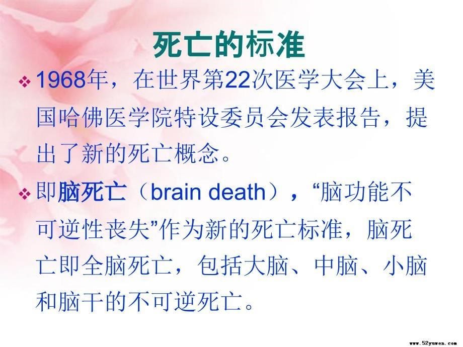 临终关怀课件医学课件_第5页