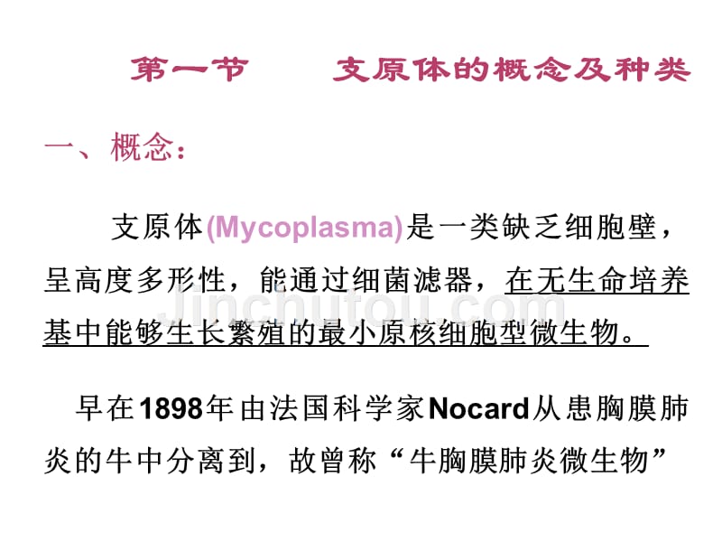 其他原核细胞型微生物医学幻灯片ppt培训课件_第2页