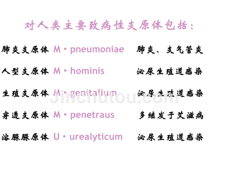 其他原核细胞型微生物医学幻灯片ppt培训课件_第4页