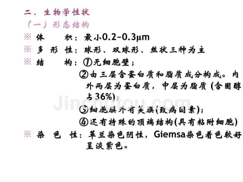 其他原核细胞型微生物医学幻灯片ppt培训课件_第5页