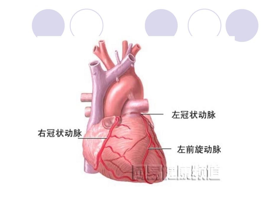 冠状动脉搭桥ppt培训课件_第3页