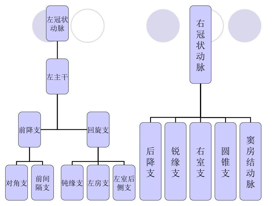 冠状动脉搭桥ppt培训课件_第5页