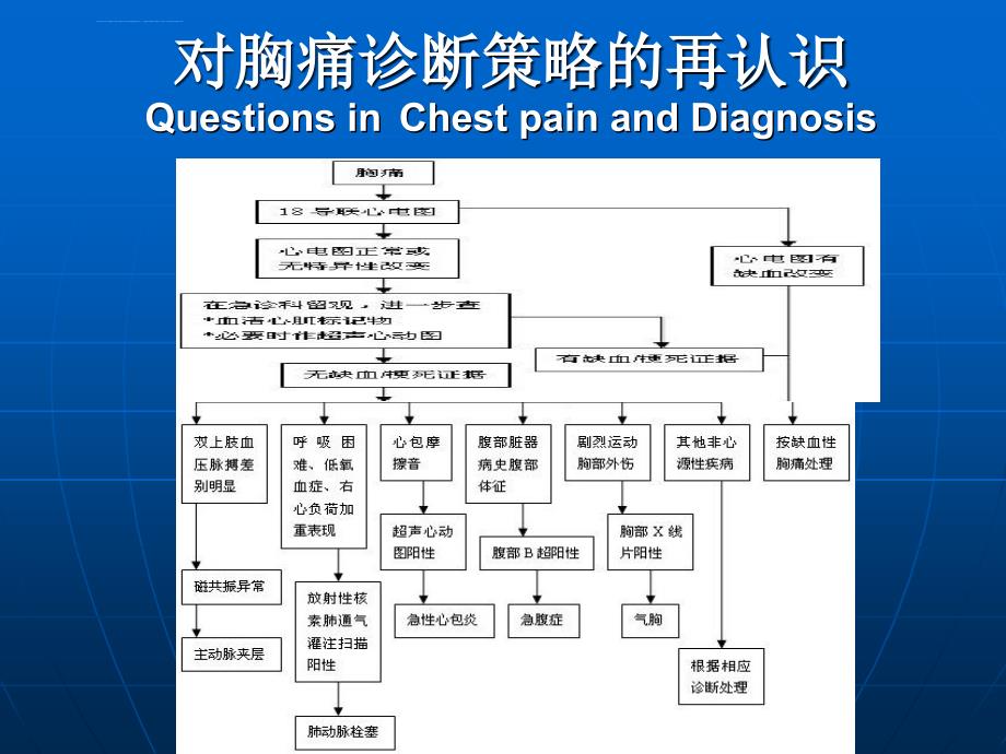 临床实践中胸痛的病例分析ppt培训课件_第2页