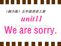 湘少版五上《Unit11Wearesorry》ppt课件