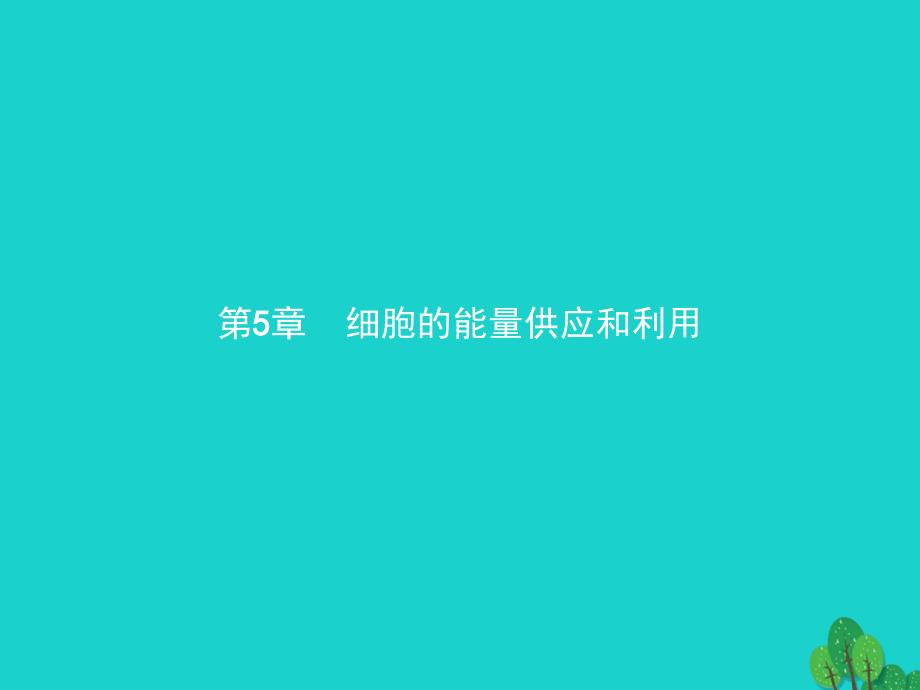 2018版高中生物第五章细胞的能量供应和利用51降低化学反应活化能的酶课件新人教版必修_第1页