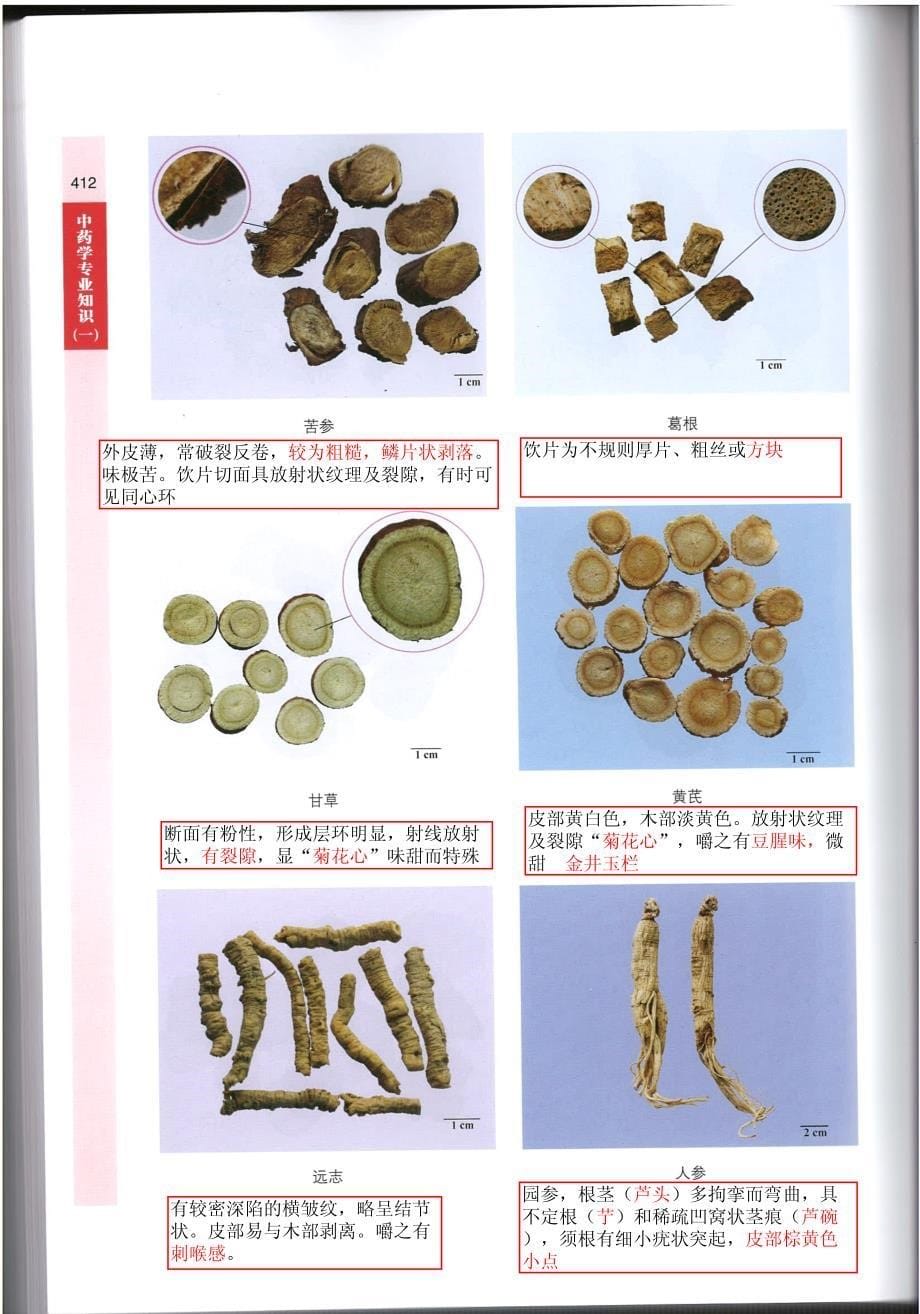 中药鉴定彩图_第5页