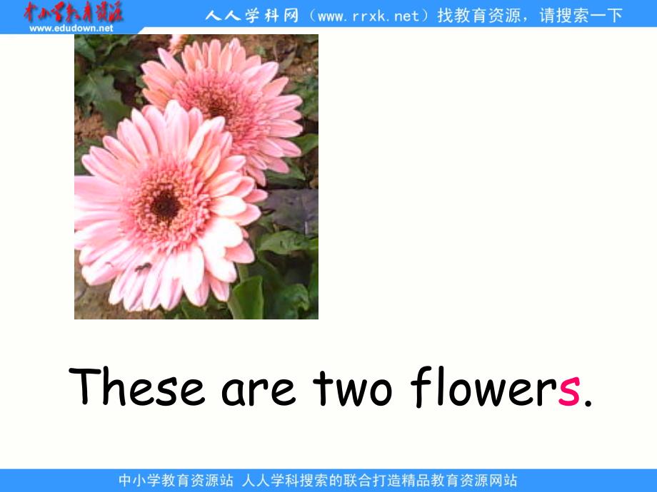湘少版[2013秋]四上《Unit4Theseareflowers》ppt课件2_第3页