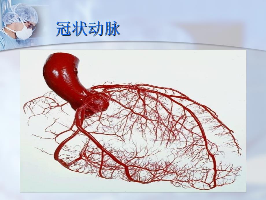 冠脉搭桥器械配合ppt课件_第3页