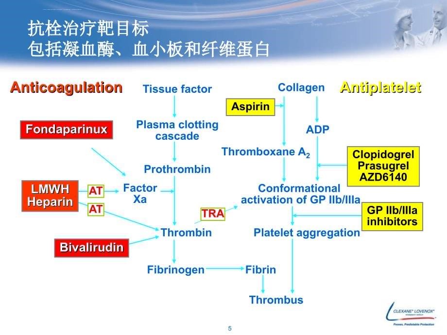 获益还是净获益从指南变迁看acs的抗凝治疗吕树铮ppt培训课件_第5页