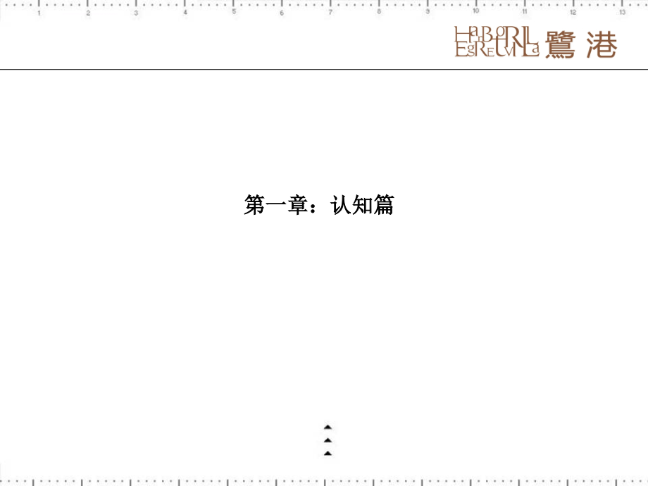 年安徽滁州鹭港别墅项目定位报告ppt培训课件_第3页