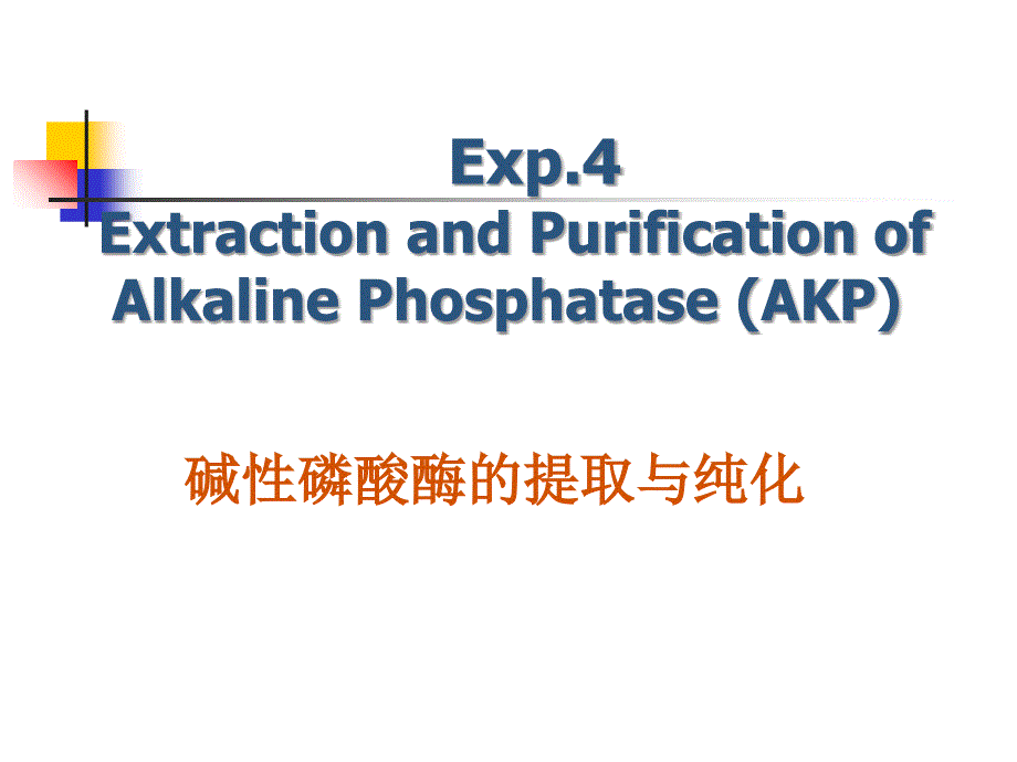 碱性磷酸酶的提取与纯化-theseparationandpurificationofakpppt培训课件_第1页