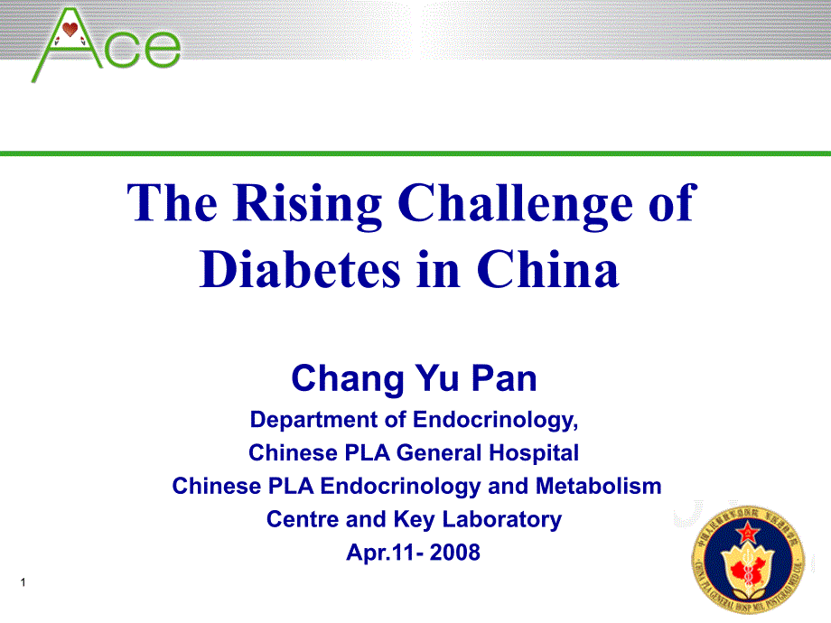中国糖尿病领域新挑战（英文）ppt培训课件_第1页