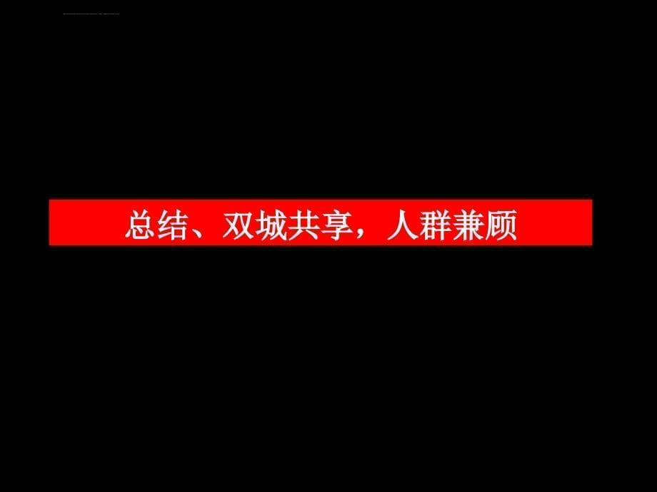 2008年长沙友联项目整合推广策略案课件_第5页