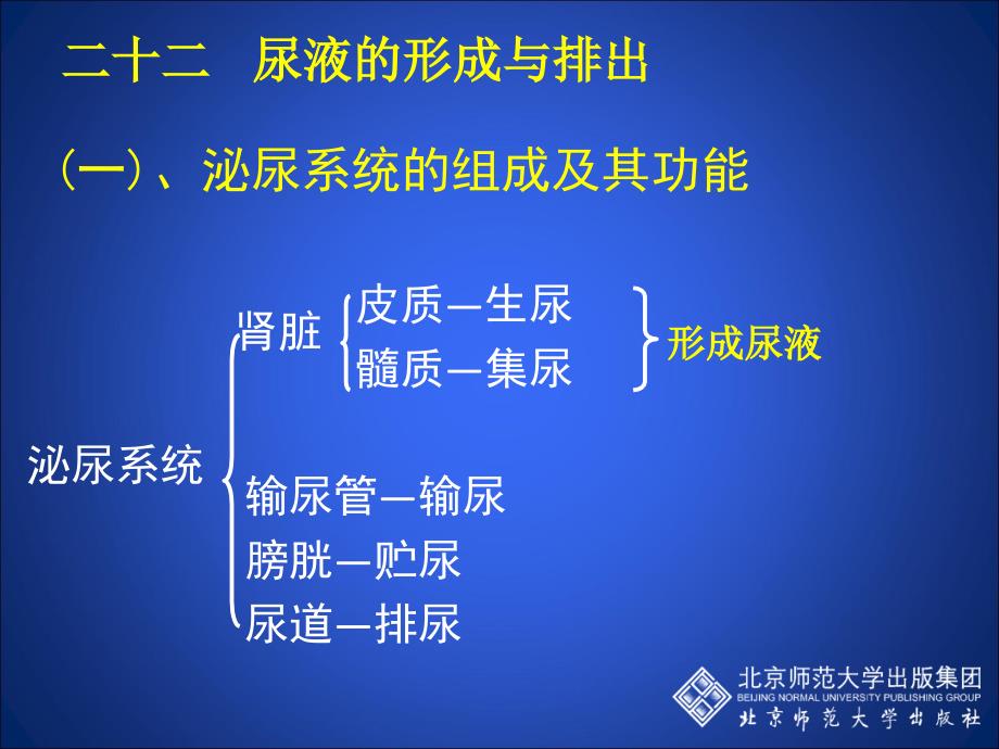 复习十二尿液的形成与排出_第1页