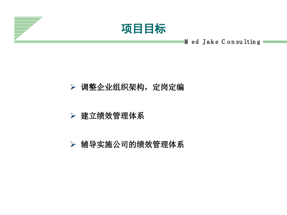 XX生物工程绩效管理项目建议书_第4页