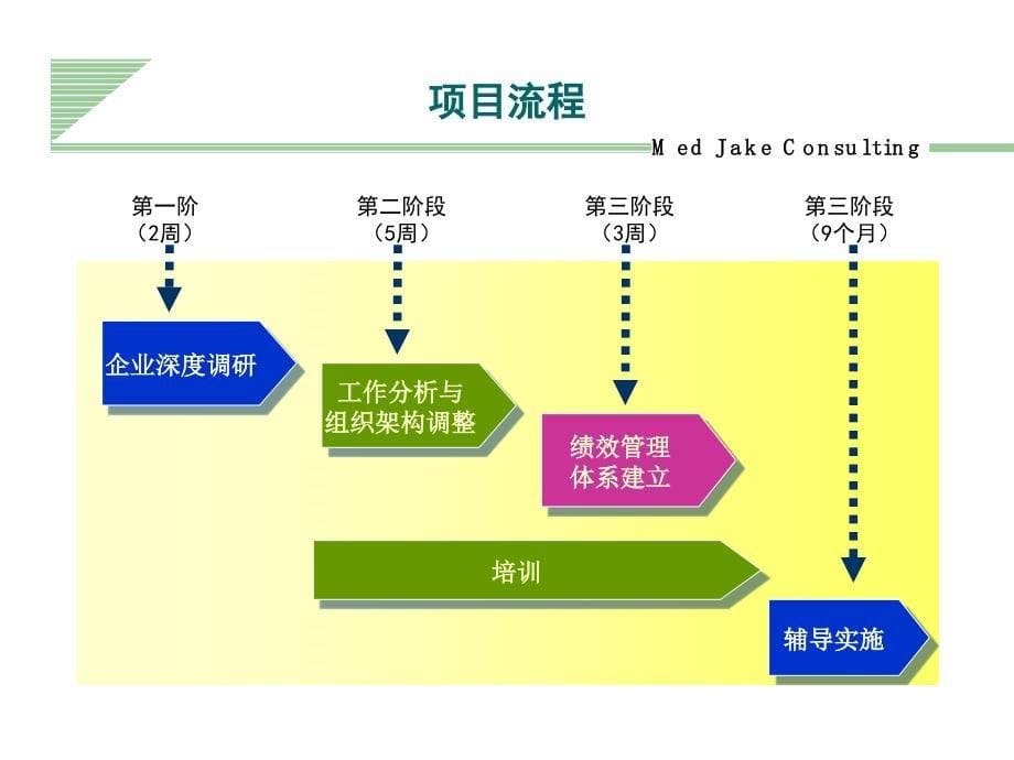 XX生物工程绩效管理项目建议书_第5页