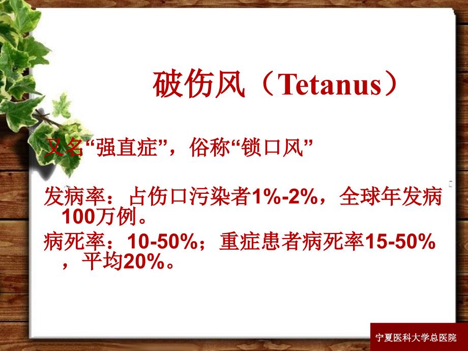 破伤风的诊断与治疗ppt医学课件_第2页