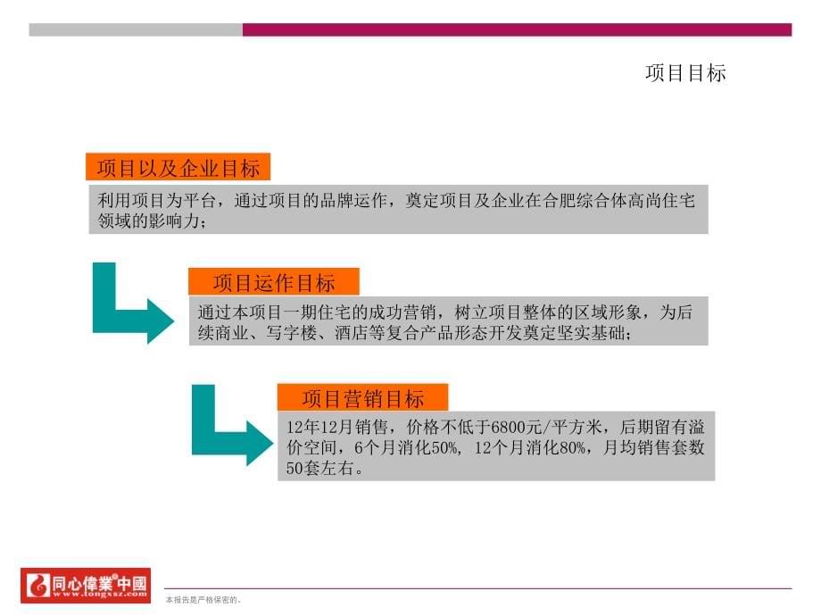 同心伟业.合肥滨江花月假日广场项目营销战略与策略提报案ppt培训课件_第5页