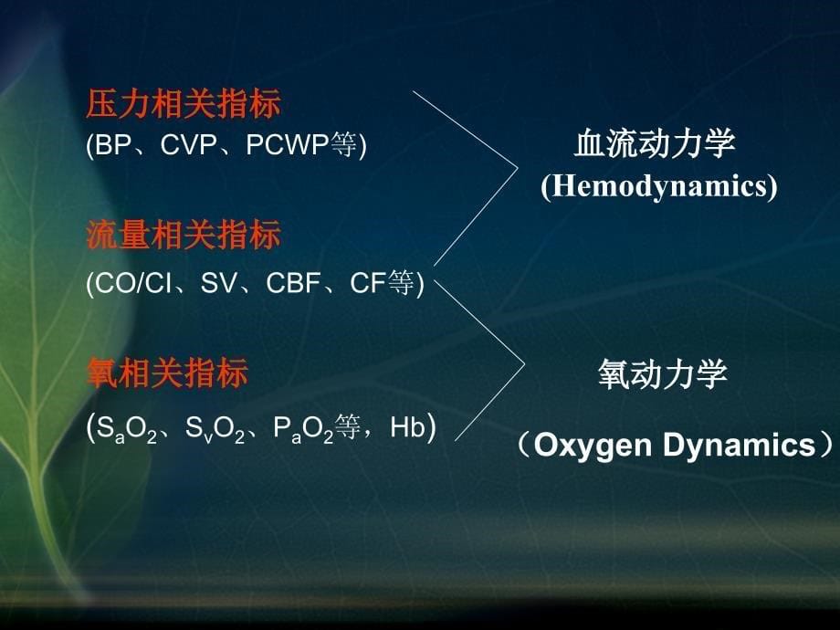 围术期的氧动力学监测_第5页