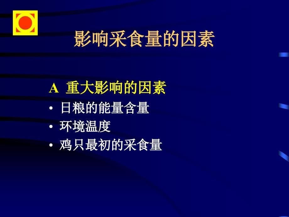 蛋鸡营养_第5页