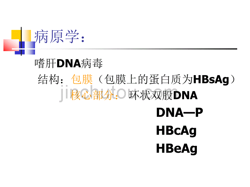 乙肝相关知识讲座_第5页