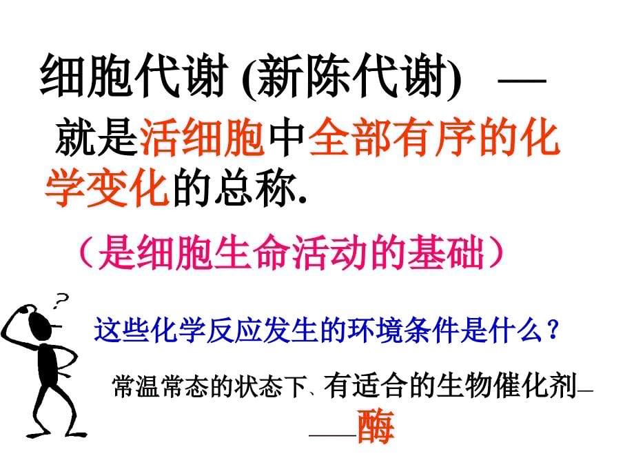 高一生物降低化学反应活化能的酶1(1)_第5页