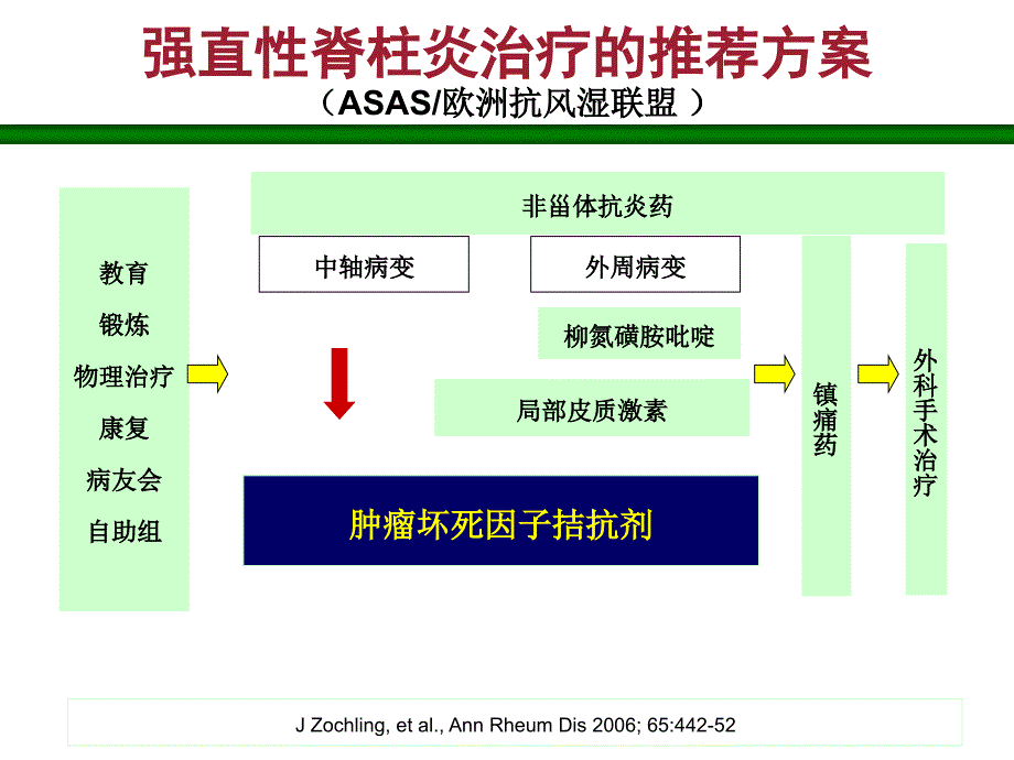 益赛普治疗强直性脊柱炎ppt课件_第3页