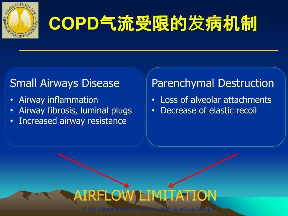 慢性阻塞性肺病ppt培训课件_第5页