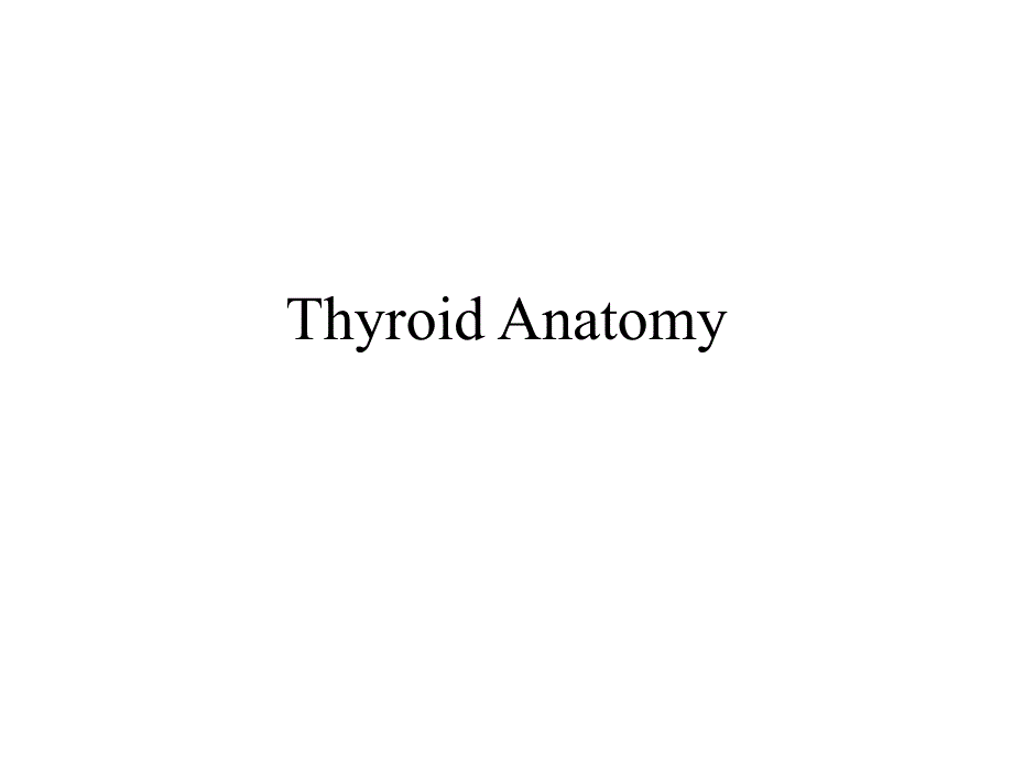 甲状腺的解剖-英文课件_第1页