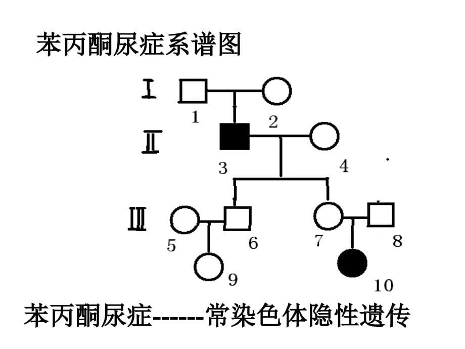 人类遗传病wei_第5页